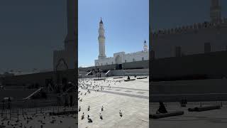 Quba masjid, 1st islamic Masque#religion #islam #madina #travel