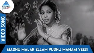 Kalyanam Panniyum Brahmachari Tamil Movie Songs | Madhu Malar Ellam Pudhu Video Song | TG Lingappa