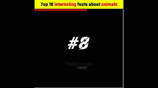 Top 10 interesting facts about animals||{🤔} #shorts #shortfeed