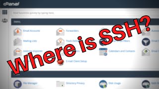 How to Enable Terminal in cPanel for SSH Access
