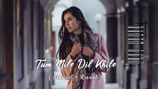 Tum Mile Dil Khile (Slowed & Reverb) | Asees Kaur | Lofi Song | LOFIBEATS001