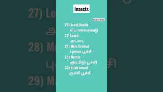 புள்ள பூச்சி Insects Part 6 தமிழில்|Spoken English Through Tamil|Learn English|Advanced Vocabulary