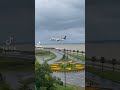 Beautiful runway loaded full of greenery