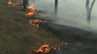 Штрафы за поджог травы: нововведения