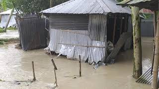 লালমনিরহাট জেলা আদিতমারী উপজেলা মহিষখোচা ইউনিয়ন বন্যা প্লাবিত এলাকায় এর কিছু দৃশ্য