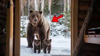 Bear Freezing With Cubs Man Opens The Door and Surprises Everyone!