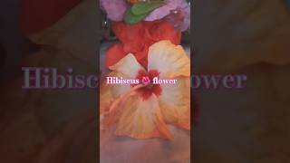 | Hibiscus 🌺 flower of Garden| #shortvideo #viralvideo #flowers #hibiscus #gardening