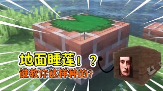 【MC】用特性掀开牛顿棺材，里面竟是陷阱！