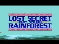 PC Longplay [744] Lost Secrets of the Rainforest