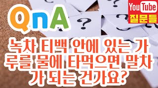 녹차 티백 안에 있는 가루를 물에 타먹으면 말차가 되는 건가요?