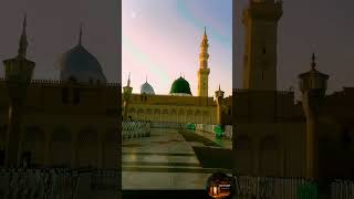 Muhammad Sayed Arabi #wayoflight Subscribe and share نعت سبحان_الله #fypシ#trending  #viralvideo