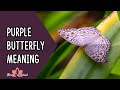 Purple Butterfly Meaning