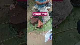 শুকরের মাথা|রাঙামাটি বাজার|বাংলাদেশ