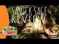 Samick Sage Review - Merlin's Archery Adventures