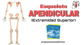 Esqueleto Apendicular - Capítulo 8 (Tortora Derrickson)