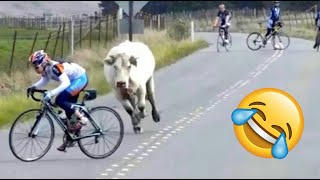 Best Fails Of The Week | Funny Fails Compilation | Funny s Part 03 | Try not to