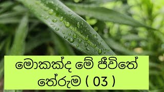 මොකක්ද මේ ජීවිතේ තේරුම මොනවටද අපි මේ දුක් විඳින්නේ. 3