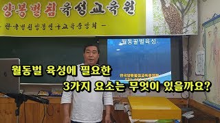 [양봉교육] 월동유충 관리시 꼭 체크해야할 육아의 3대요소