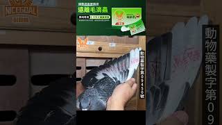 【強豪分享】柯富閔強豪分享處理毛滴蟲時機｜耐翔購