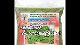 പൊന്നാങ്കണ്ണി ചീര ഏതാണ് ഒർജിനൽ! ponnanganni cheera