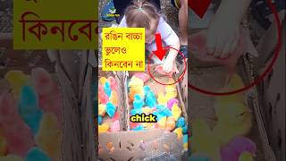 রঙিন বাচ্চা ভুলেও কিনবেন না || শিক্ষার পথ #shorts #facts