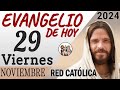 Evangelio de Hoy Viernes 29 de Noviembre de 2024 | REFLEXIÓN | Red Catolica