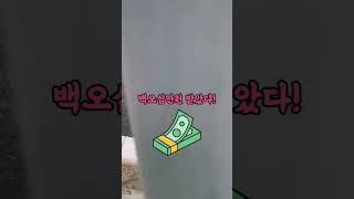 인스타충들의 현실