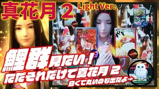 【鯉群が見たい】PAフィーバー真花月2 Light Ver. 2022/12/19【理由はそれだけ】