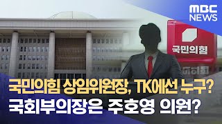 국민의힘 상임위원장, TK에선 누구? 국회부의장은 주호영 의원? (2024.06.26/뉴스데스크/대구MBC)