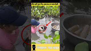 নদীতে বড়শি তুলতে গিয়ে এত বড় মাছ দেখে অবাক মেয়েটি 🤯 #fishing #shorts #story