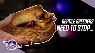 Overcoming WEAKNESS as a Reptile Breeder | #ballpython #snake #reptiles