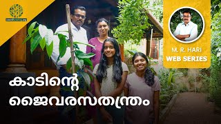 THE BIO CHEMISTRY OF FORESTS  | കാടിൻറെ ജൈവ രസതന്ത്രം