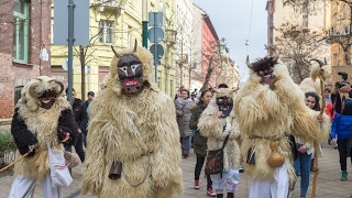 Mohácsi busók Józsefvárosban