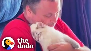 Dog-Person Guy Begs His Wife To Adopt Shelter Cat  | The Dodo Foster Diaries