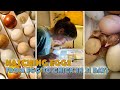 Hatching Chicken Eggs - 21 Day Incubation #eggs