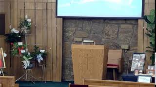 Ed Shepherd Service