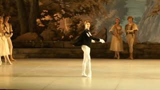 Viktor Lebedev SWAN LAKE Act I Variation