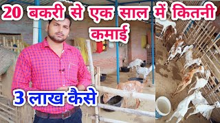 20 बकरी से एक साल में कितनी कमाई ||  20 bakri palan ke liye kitni jagah chahiye