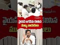 #Shorts YSRCP Leaders Meet YS Jagan At Tadepalli | YS Jagan | greatandhra.com