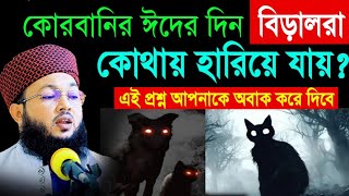 কোরবানির দিন বিড়ালরা কোথায় হারিয়ে যায় | বিড়ালের অজানা ইতিহাস | Mufti Al-Amin araihazari waz