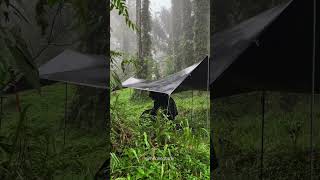 CAMPING IN HEAVY RAIN IN BEAUTIFUL FOREST #shorts