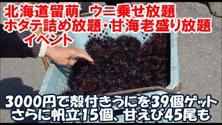 【北海道殻付きムラサキウニゲットイベント】うまいよ！るもい市 新鮮なまだ生きているウニを1000円で乗せ放題！さらに帆立1000円詰め放題・甘海老600円盛り放題 Hokkaido, Japan