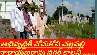 అభివృద్ధికీ నోచుకోని చల్లపల్లి నారాయణరావు నగర్ కాలనీ.......      ది