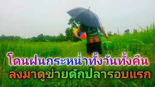 ฝนตกทั้งคืนทั้งวัน #ลงมาดูข่ายดักปลากันคับ วิถีคนชนบท | Bank 009 Channel