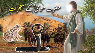 Hazrat Musa as Ke Mojzat | Islamic Stories | Islamic LifeCycle