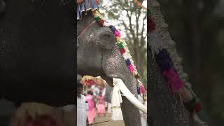 Kodunga sree subramannyaswami temple ulsavam 2025