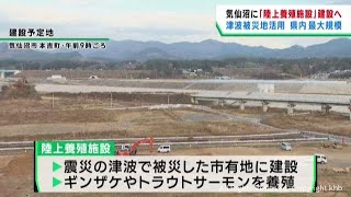 津波被災地を活用　宮城県最大規模の陸上養殖施設を整備へ　宮城・気仙沼市