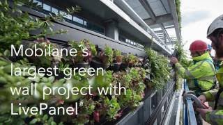 Mobilane's largest LivePanel green wall project