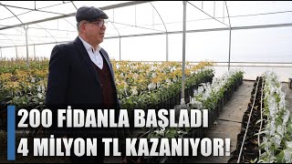 200 Fidanla Başladı 4 Milyon TL Kazanıyor! / AGRO TV HABER