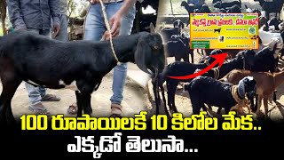 వంద రూపాయలకే 10 కిలోల మేక | 10 KG Goat for 0ne Hundred Rupees | iDream